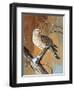 Remnants of Snow-Trevor V. Swanson-Framed Giclee Print