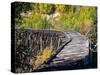 Remnants of the CR and NW Trestle Along the McCarthy Road, Alaska, USA-Julie Eggers-Stretched Canvas