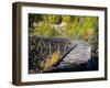 Remnants of the CR and NW Trestle Along the McCarthy Road, Alaska, USA-Julie Eggers-Framed Photographic Print