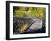 Remnants of the CR and NW Trestle Along the McCarthy Road, Alaska, USA-Julie Eggers-Framed Photographic Print