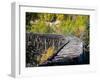 Remnants of the CR and NW Trestle Along the McCarthy Road, Alaska, USA-Julie Eggers-Framed Photographic Print