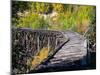 Remnants of the CR and NW Trestle Along the McCarthy Road, Alaska, USA-Julie Eggers-Mounted Photographic Print