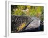 Remnants of the CR and NW Trestle Along the McCarthy Road, Alaska, USA-Julie Eggers-Framed Photographic Print