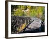 Remnants of the CR and NW Trestle Along the McCarthy Road, Alaska, USA-Julie Eggers-Framed Photographic Print