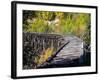 Remnants of the CR and NW Trestle Along the McCarthy Road, Alaska, USA-Julie Eggers-Framed Photographic Print