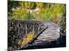 Remnants of the CR and NW Trestle Along the McCarthy Road, Alaska, USA-Julie Eggers-Mounted Photographic Print