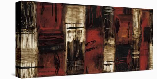 Remnants-Wayde Owen-Stretched Canvas