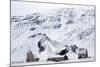 Remote Church and Farm Buildings in Snow-Covered Winter Landscape, Snaefellsness Peninsula, Iceland-Lee Frost-Mounted Photographic Print