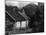 Remote Scottish Cottage-null-Mounted Photographic Print