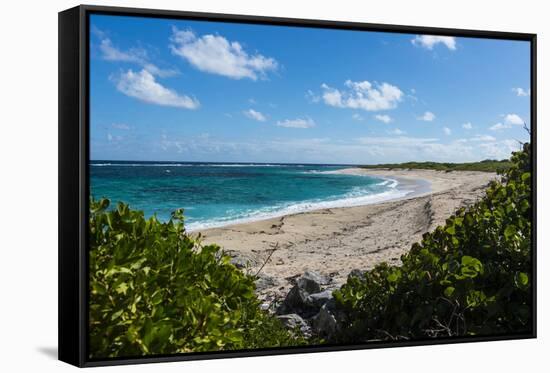 Remote White Sand Beach in Barbuda, Antigua and Barbuda, West Indies, Caribbean, Central America-Michael Runkel-Framed Stretched Canvas