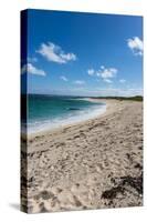 Remote White Sand Beach in Barbuda, Antigua and Barbuda, West Indies, Caribbean, Central America-Michael Runkel-Stretched Canvas