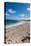 Remote White Sand Beach in Barbuda, Antigua and Barbuda, West Indies, Caribbean, Central America-Michael Runkel-Stretched Canvas