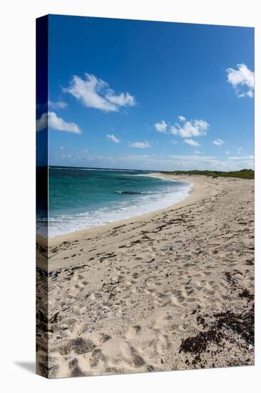 Remote White Sand Beach in Barbuda, Antigua and Barbuda, West Indies, Caribbean, Central America-Michael Runkel-Stretched Canvas