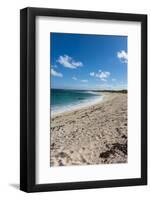 Remote White Sand Beach in Barbuda, Antigua and Barbuda, West Indies, Caribbean, Central America-Michael Runkel-Framed Photographic Print