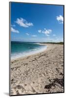 Remote White Sand Beach in Barbuda, Antigua and Barbuda, West Indies, Caribbean, Central America-Michael Runkel-Mounted Photographic Print