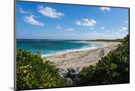 Remote White Sand Beach in Barbuda, Antigua and Barbuda, West Indies, Caribbean, Central America-Michael Runkel-Mounted Photographic Print