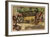 Removals Wagon-null-Framed Giclee Print