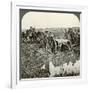 Removing a Field Gun from a Flooded Position, World War I, 1914-1918-null-Framed Photographic Print