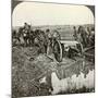 Removing a Field Gun from a Flooded Position, World War I, 1914-1918-null-Mounted Photographic Print
