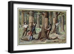 Removing the Bark from Cork Trees-null-Framed Giclee Print
