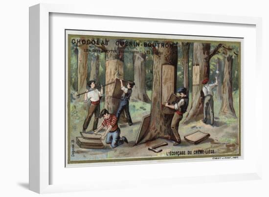 Removing the Bark from Cork Trees-null-Framed Giclee Print