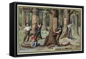 Removing the Bark from Cork Trees-null-Framed Stretched Canvas