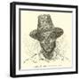 Rempole, Chief of the Ajondo-null-Framed Giclee Print