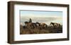 Remuda (color)-Barry Hart-Framed Art Print