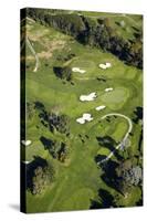 Remuera Golf Course, Auckland, North Island, New Zealand-David Wall-Stretched Canvas