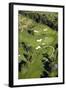 Remuera Golf Course, Auckland, North Island, New Zealand-David Wall-Framed Photographic Print