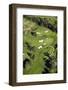 Remuera Golf Course, Auckland, North Island, New Zealand-David Wall-Framed Photographic Print