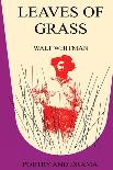 Leaves of Grass-Remy Charlip-Art Print