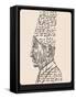 Renaissance Thinker. the Man Made of Words.-RYGER-Framed Stretched Canvas