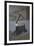 Renaissance-Banksy-Framed Giclee Print