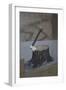 Renaissance-Banksy-Framed Premium Giclee Print