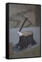 Renaissance-Banksy-Framed Stretched Canvas