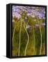 Renaissance-Herb Dickinson-Framed Stretched Canvas