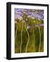 Renaissance-Herb Dickinson-Framed Photographic Print