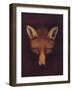 'Renard the Fox', c1800, (1922)-Philip Reinagle-Framed Giclee Print