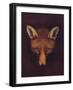 'Renard the Fox', c1800, (1922)-Philip Reinagle-Framed Giclee Print