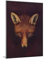 'Renard the Fox', c1800, (1922)-Philip Reinagle-Mounted Giclee Print