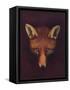 'Renard the Fox', c1800, (1922)-Philip Reinagle-Framed Stretched Canvas