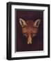 'Renard the Fox', c1800, (1922)-Philip Reinagle-Framed Giclee Print