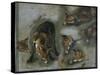 Renards-Pieter Boel-Stretched Canvas