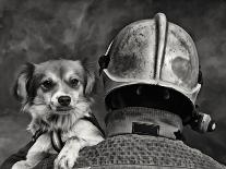 Dog's Best Friend.-Renato J.-Photographic Print