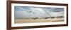 Rendez-vous-Philip Plisson-Framed Art Print