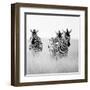 Rendezvous I-Nina Papiorek-Framed Art Print