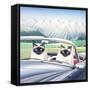 Canvas Black