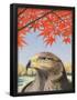 Essential Black