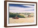 Brown Frame